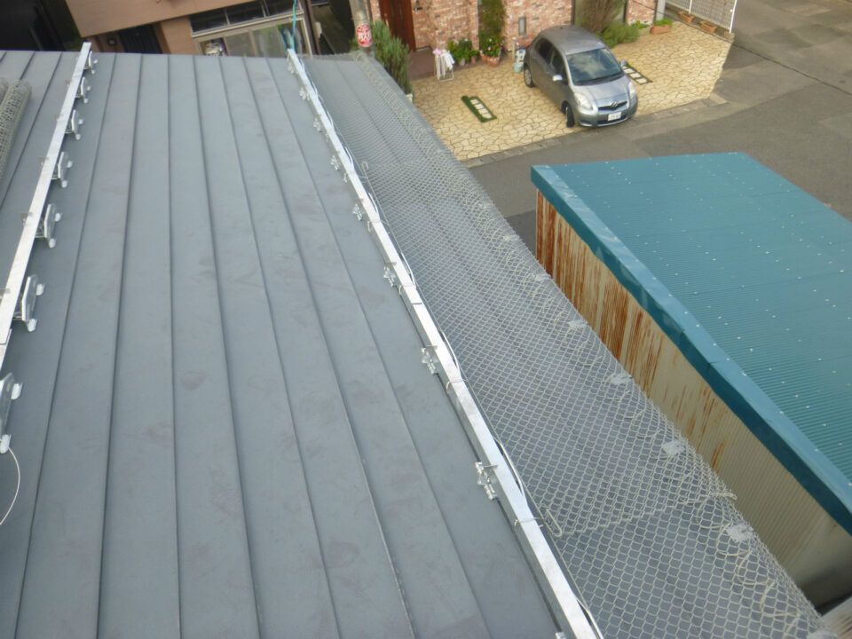 P1020115