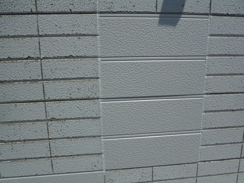 DSCF7036
