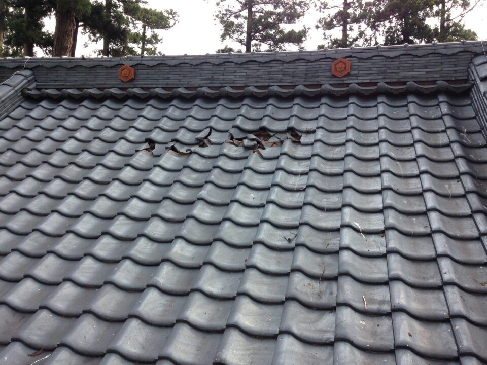 福井市で風の被害の修理。越前瓦の交換と屋根掃除をしました。