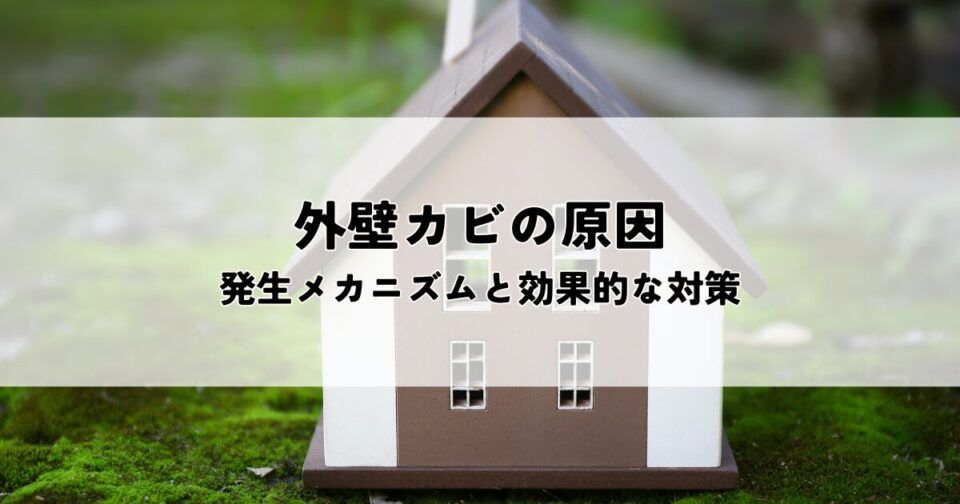 外壁カビの原因とは？発生メカニズムと効果的な対策