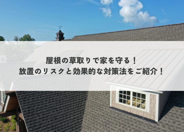 屋根の草取りで家を守る！放置のリスクと効果的な対策法をご紹介！