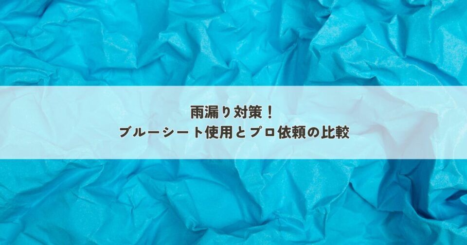 雨漏り対策！ブルーシート使用とプロ依頼の比較
