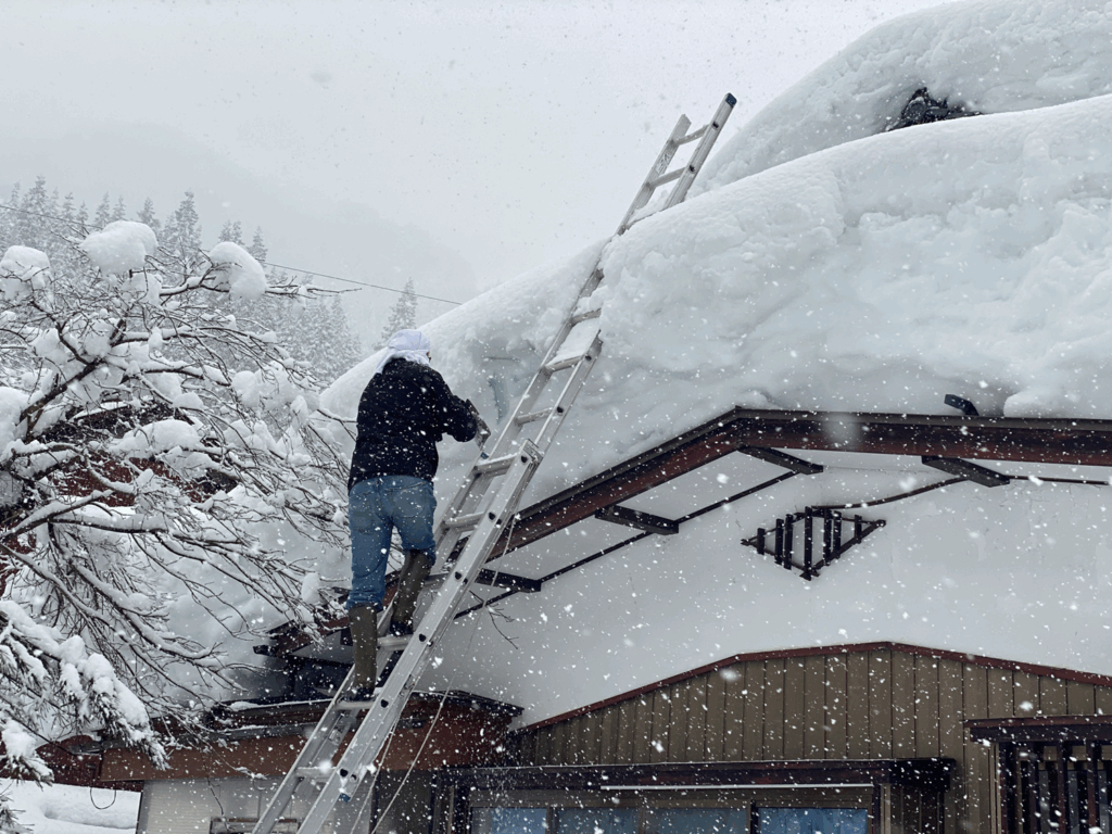 【広報だより】雪の季節のまえに